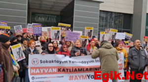 Necla Teyze İçin Adalet Arayışı