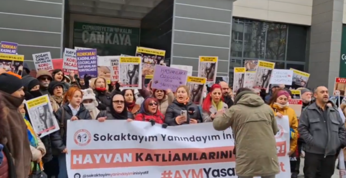 Necla Teyze İçin Adalet Arayışı