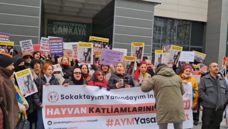 Necla Teyze İçin Adalet Arayışı