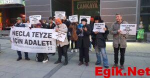 Adalet İçin Yükselen Sesler: Necla Teyze'nin Ölümü ve Hayvan Hakları Mücadelesi