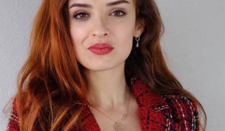 Kadın Aktivist Rojbin Bor’un Hukuksuz Gözaltına Alınması