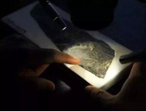 Çin’de yaklaşık 150 milyon yıllık kuş fosili gün yüzüne çıktı