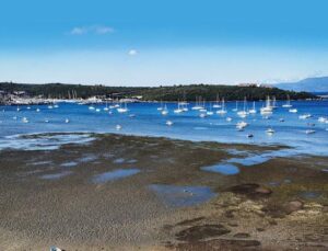 Deprem habercisi mi… Marmara ve Ege’de deniz çekildi