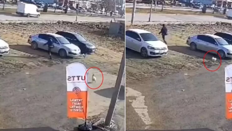 Görenleri gülümseten anlar! Horoz sayaç okuma görevlisini metrelerce kovaladı