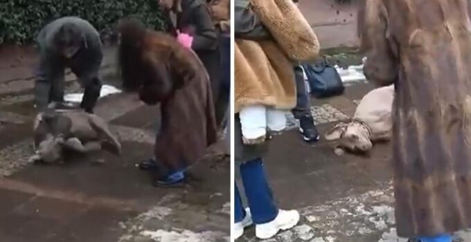 Kadıköy ve Beşiktaş’ta ‘elektrik’ dehşeti: Kaldırımda yürüyen köpekler akıma kapıldı, 1’i öldü