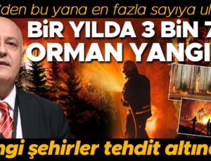 1937 yılından itibaren ilk kez bu kadar fazla: Orman yangını sayısı korkuttu! Hangi şehirler tehdit altında?