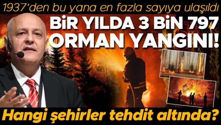 1937 yılından itibaren ilk kez bu kadar fazla: Orman yangını sayısı korkuttu! Hangi şehirler tehdit altında?