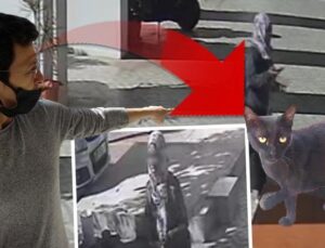 En çok onları tercih ediyor | Mahallede ‘esrarengiz kadın’ paniği: Kameralara yakalandı! ‘Etrafı kontrol edip bir yerlere haber veriyor’