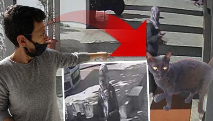 En çok onları tercih ediyor | Mahallede ‘esrarengiz kadın’ paniği: Kameralara yakalandı! ‘Etrafı kontrol edip bir yerlere haber veriyor’