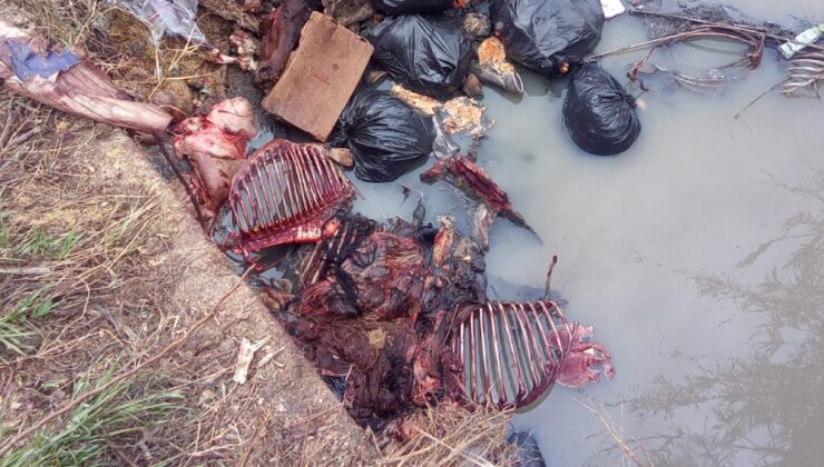 Hep iddiaydı, kanıtı dere yatağından çıktı