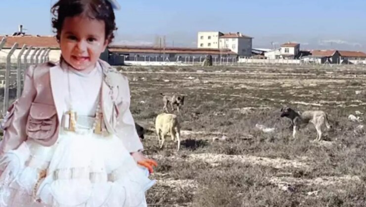 Köpek saldırısında mı öldü? Rana’nın otopsi raporu çıktı