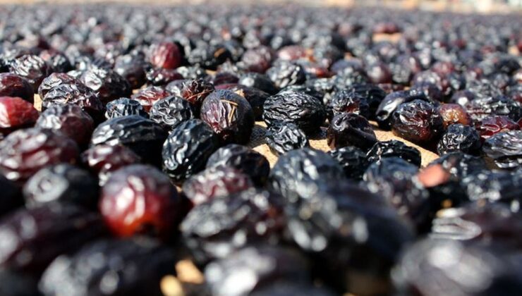 Tarım sigortalarında geçen yıl en fazla hasar ödemesi kurutmalık üzüme yapıldı