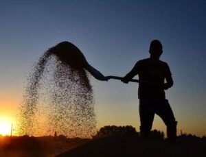 Bakan Yumaklı müjdeyi duyurdu! Çiftçilere destek ödemesi bugün başlıyor