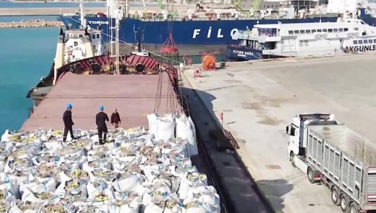 Bakanlığın kararı üreticiyi isyan ettirdi: 300 bin ton çürümeyi bekleyecek