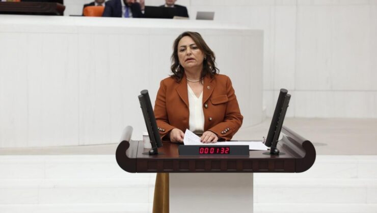 CHP’li Şevkin: AKP İklim Kanunu ile şirketleri önceliyor