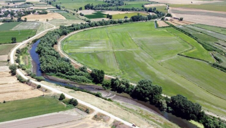 Edirne’de çeltik üreticisinde ‘kuraklık’ endişesi