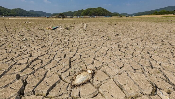 Ekolojik kriz kapıda… Mart ayında 35 yıl sonra bir ilk yaşandı!