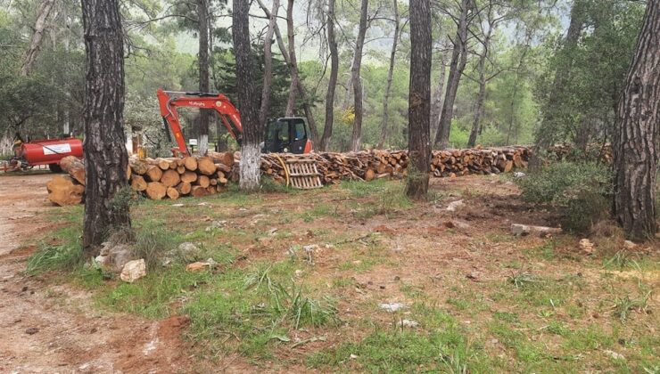 Gökova betonlaşmaya değil korunmaya muhtaç