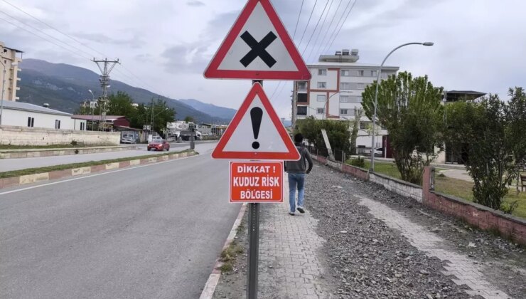 Hatay’da kuduz alarmı, bölge karantinaya alındı
