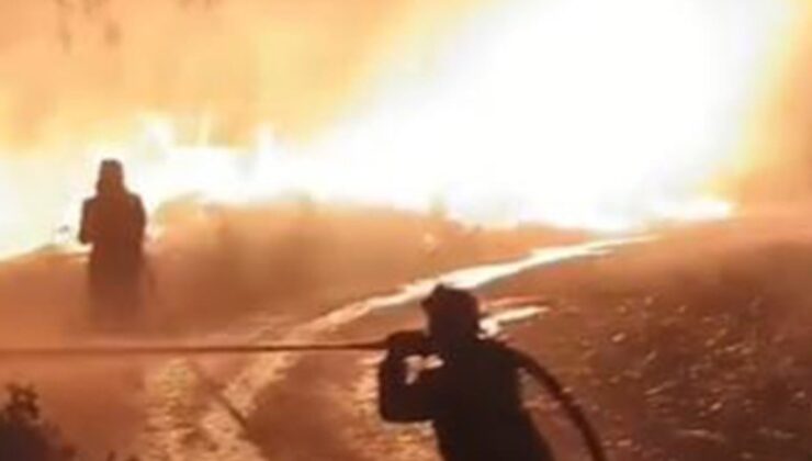 Hatay’da orman yangını: Ekipler seferber oldu