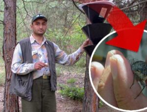 Keşfine verdiği isim herkesi şaşkına çevirmişti! Sosyal medyada gündem olan akademisyen: Linçleneceğimi bilerek bu kararı verdim