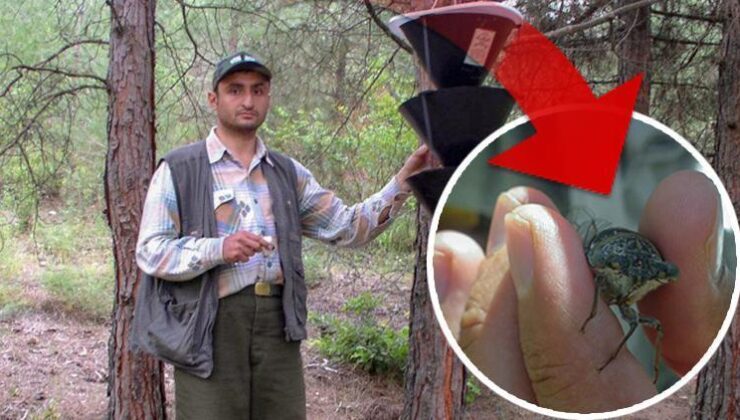 Keşfine verdiği isim herkesi şaşkına çevirmişti! Sosyal medyada gündem olan akademisyen: Linçleneceğimi bilerek bu kararı verdim