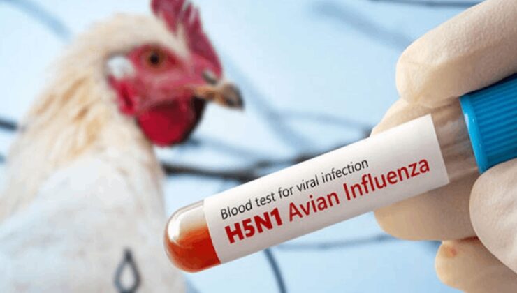 Meksika’da ‘H5N1’ kaynaklı ilk ölüm!