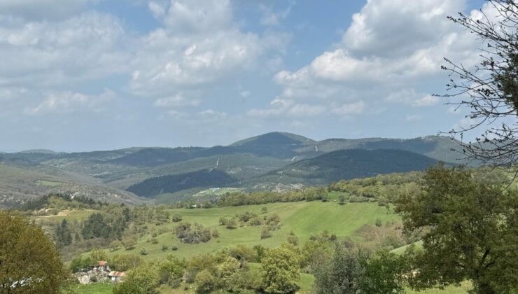 Rant hırsı doğayı yok ediyor