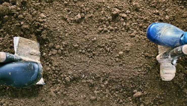 Toprağın derinliklerinde yeni yaşam formları keşfedildi