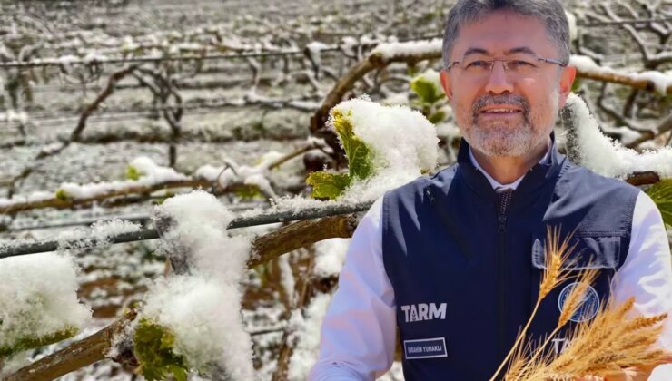 Türkiye tarihinin en büyük zirai don olayı! İller bir bir alarm veriyor