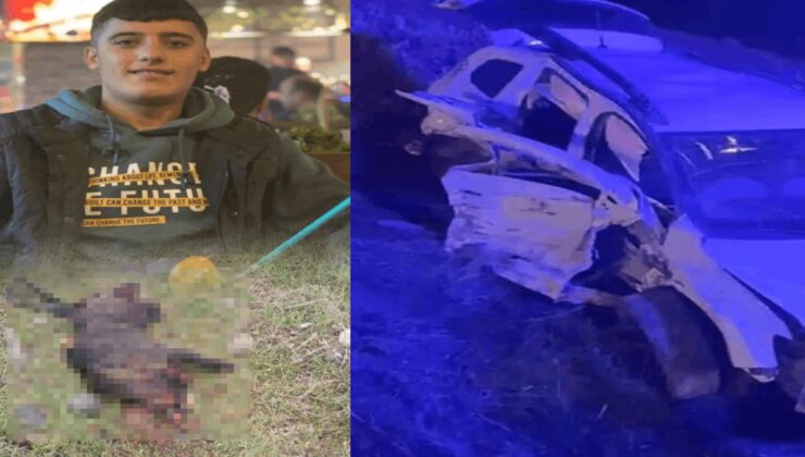 Yola çıkan domuz 22 yaşındaki Yusuf’u hayattan koparttı