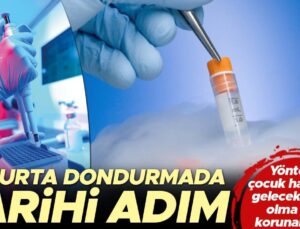 Yumurta dondurmada tarihi adım