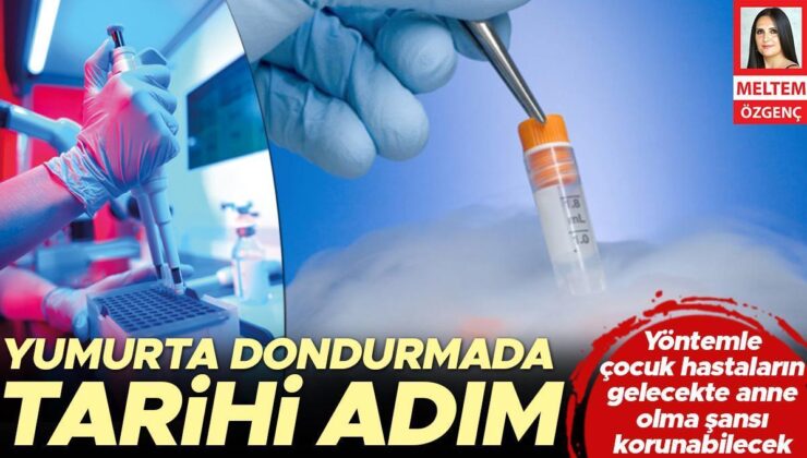 Yumurta dondurmada tarihi adım