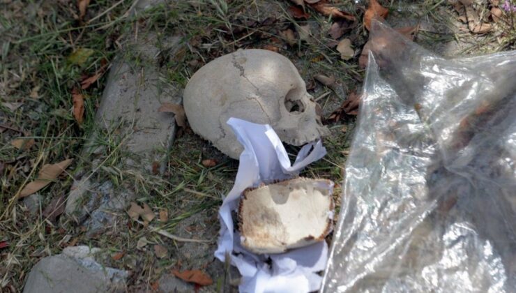 Adana’da dehşete düşüren olay: Çöpten çocuk kafatası çıktı!