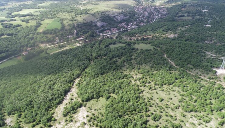 Kırklareli’de ormanlara girişler yasaklandı