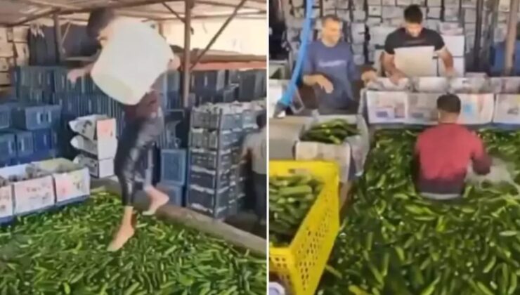 Mide bulandıran görüntüler sonrası harekete geçildi!