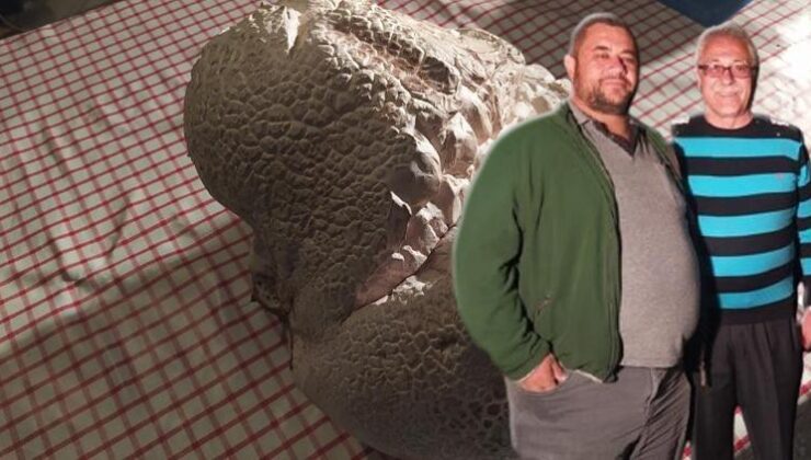 Almanya’dan Sivas’a geldi hayrete düştü! ‘Hayatımda ilk defa görüyorum’