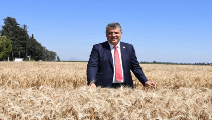 Ayhan Barut’tan 13.5 lira olarak açıklanan buğday alım fiyatına tepki