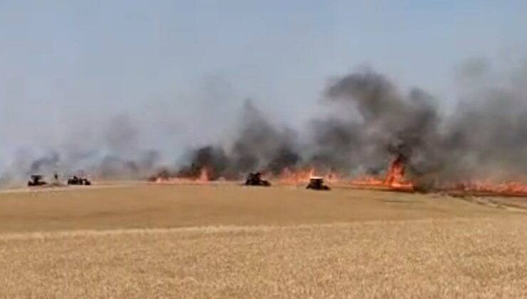 Buğday tarlasında yangın: 120 dönüm alan kül oldu