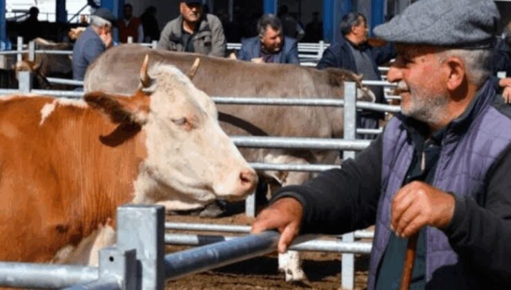 CHP’li vekil Gürsel Erol: Kurban Bayramında et değil yoksulluk konuşuluyor