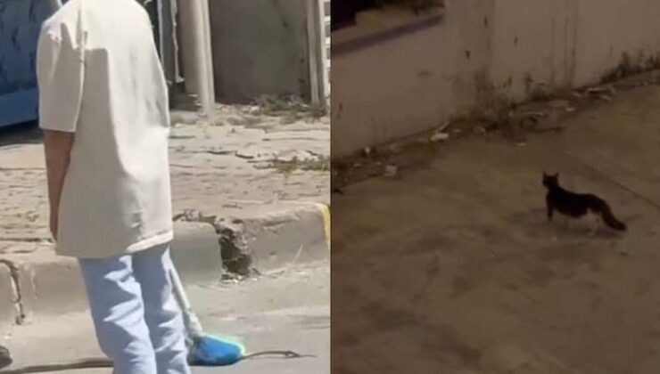 Havalar ısınınca ortaya çıktı: İstanbul’da yedi ilçedeki vatandaşlar tedirgin