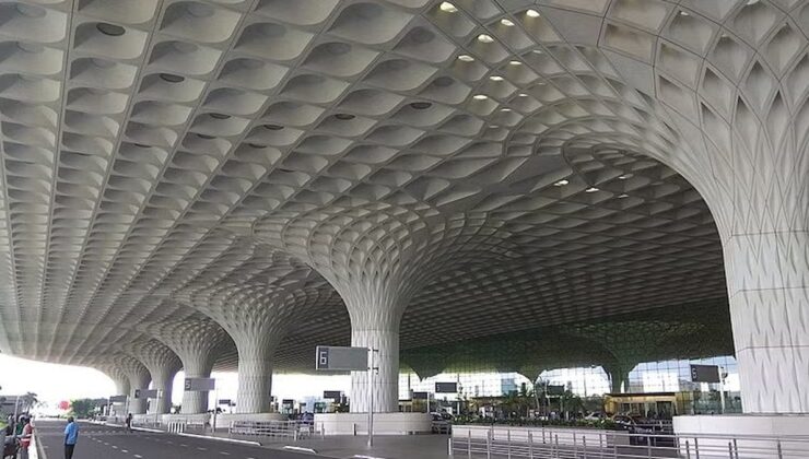 Havalimanında panik anları! Valizinden onlarca zehirli yılan çıktı