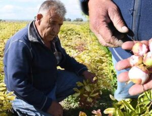 Hollanda’dan Yozgat’a getirdi! Bir gecede bütün emeği yok oldu