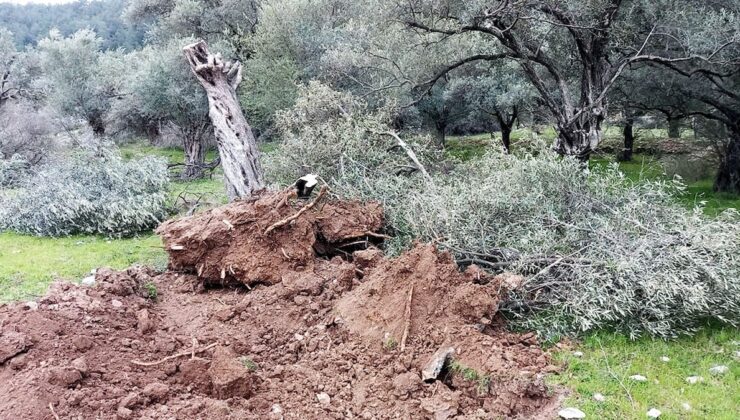 İkizköylüler TBMM’ye seslendi: “Şirketlerin yanında değil köylünün yanında olun”