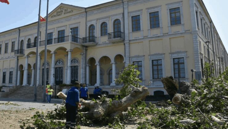 İzmir Valiliği’ndeki asırlık çınar devrildi; o anlar kamerada