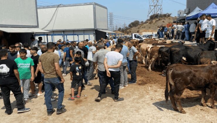 İzmir’de kurban kesim noktalarında yoğunluk