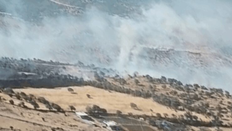 İzmir’deki tarım arazisinde büyük yangın