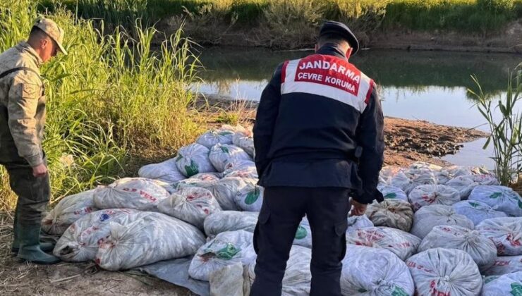 Jandarma 24 saat nöbete başladı: Kutsal canlıyı artık çuvalla kaçırıyorlar