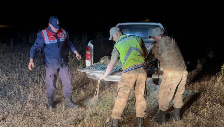 Jandarma Van Gölü’nde harekete geçti: 1 ton 500 kilogram suya bırakıldı