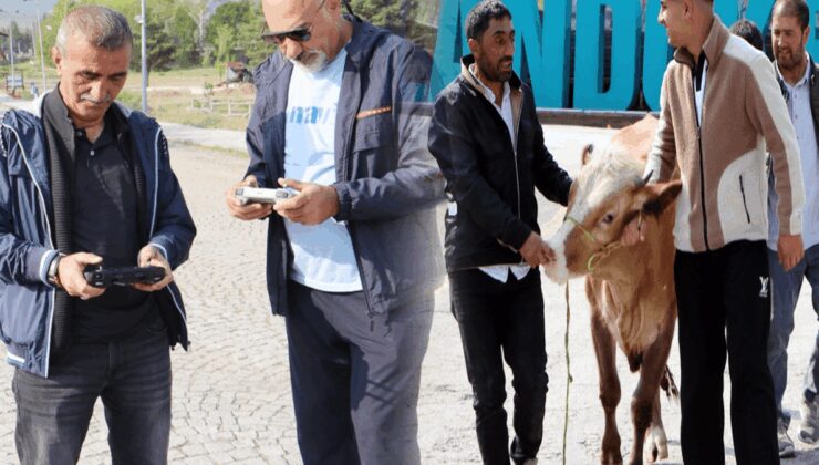 Kaçan kurbanlığı dronlarla aradılar